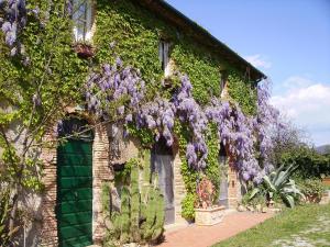 un edificio cubierto de glicinias púrpuras junto a una casa en Agriturismo La Leccia en Bibbona