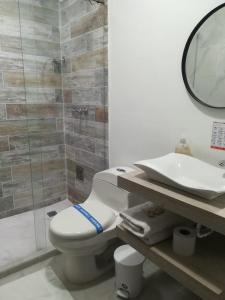 Hotel Colonial Andino - Parque principal de Pitalito的一间浴室