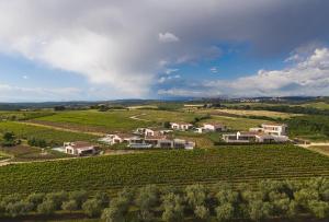 Fotografie z fotogalerie ubytování Villa Tramonto v destinaci Brtonigla
