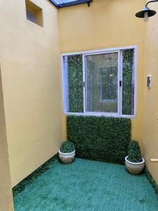 a room with two potted plants next to a window at Loft Centro in Villa Unión