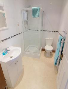 a bathroom with a shower and a sink and a toilet at Utopia Apartments in Perranporth