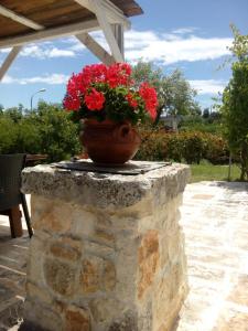 ein Topf voller roter Blumen, die auf einer Steinmauer sitzen in der Unterkunft Trulli La collinetta in Martina Franca