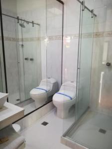 Hotel Colonial Andino - Parque principal de Pitalito的一间浴室