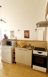 cocina con fregadero y fogones horno superior en Appartement "La Chocolaterie" en Centre-Ville linge inclus en Blois