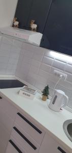 Una cocina o cocineta en Apartman Iva