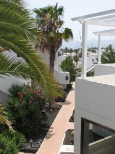 uma vista a partir da varanda de uma casa com palmeiras em Casa Para Ti Delfinesse em Puerto del Carmen