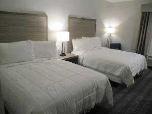 Postel nebo postele na pokoji v ubytování Best Western Plus Wills Point