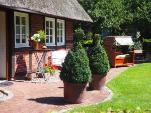 a patio with two potted plants and a house at Ferienhof Hage in Hüde