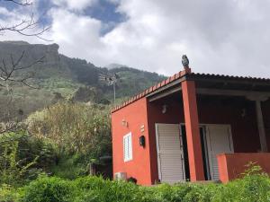 mały czerwony budynek z ptakiem na dachu w obiekcie Villa Rafael w mieście Vega de San Mateo