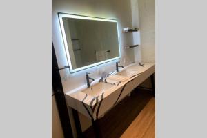 匹兹堡3E-*New* Apt -5 min from Downtown, 3E, Sleeps 6的带水槽和大镜子的浴室