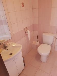 La salle de bains est pourvue de toilettes blanches et d'un lavabo. dans l'établissement Noclegi-Nowadeba, à Tarnowska Wola