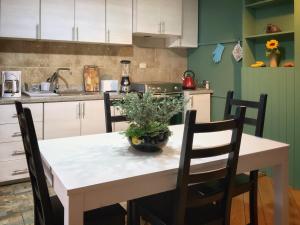 Kuchyň nebo kuchyňský kout v ubytování Ñañas Hostel