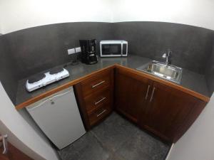 a small kitchen with a sink and a microwave at Suite 9, Manuel Antonio in Quepos