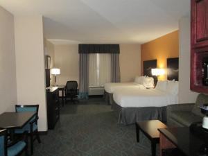 Gallery image of Holiday Inn Express Hotel and Suites Fort Stockton, an IHG Hotel in Fort Stockton