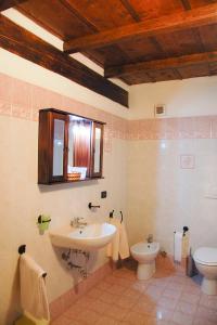 a bathroom with a sink and a toilet at Agriturismo Il Piano in Pratovecchio