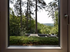 デュルビュイにあるBeautiful modern house with stunning views hot tub and sauna in green surroundingsの木々の景色を望む部屋の窓