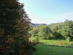Blick auf ein Feld mit Bäumen und einen Fluss in der Unterkunft Splendid Mansion in Bastogne with Fenced Garden in Le Parque