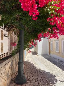 a street with pink flowers on a pole at Ninho Salino in Cascais