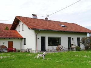 Gallery image of Restful Holiday Home near Ski Lift in Petersthal in Oy-Mittelberg