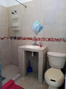 ein Bad mit einem WC, einem Waschbecken und einer Dusche in der Unterkunft Alojamiento Colors in Mexiko-Stadt