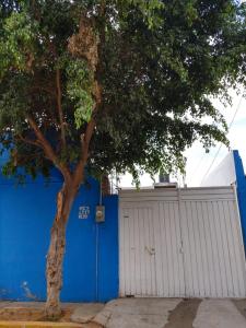 a tree in front of a blue and white garage at Alojamiento Colors in Mexico City