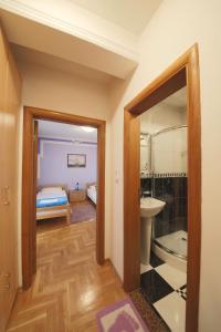 a bathroom with a shower and a sink and a toilet at Guest House Pansion 10 in Cetinje