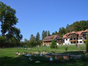 una casa grande con un estanque frente a ella en Apartment in the Black Forest with balcony, en Urberg