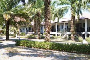 Сад в Palm Scenery Resort