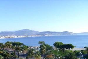 a view of a large body of water with palm trees at Le Riviera Plage in Nice