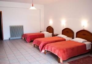Postel nebo postele na pokoji v ubytování Hotel Gigilos Omalos