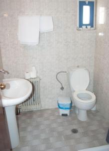 a bathroom with a toilet and a sink at Hotel Gigilos Omalos in Omalós