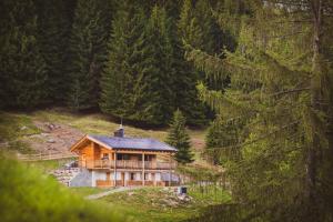 una casa en una colina en medio de un bosque en Karlshütte en Avelengo