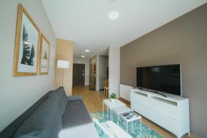 sala de estar con sofá y TV grande en Apartament Silence Triventi z Widokiem na Śnieżkę en Karpacz