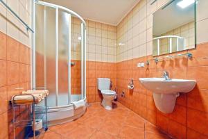 ein Bad mit einer Dusche, einem Waschbecken und einem WC in der Unterkunft Noclegi Mosorny Groń in Zawoja