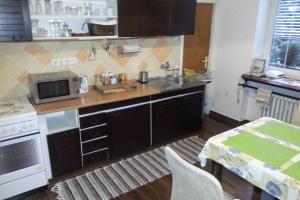 a kitchen with a sink and a microwave on a counter at ŽiLiNA Apartment in Žilina