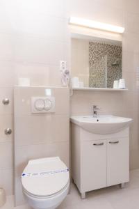 a white bathroom with a toilet and a sink at Pansion Croatia in Starigrad +103 photos
