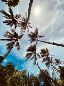 a group of palm trees against a cloudy sky at Pousada Janelas do Mar in Flecheiras