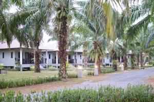 a row of palm trees in front of a white building at Palm Scenery Resort in Takua Pa +50 photos