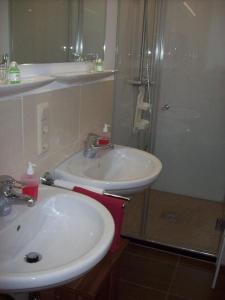 een badkamer met een wastafel en een douche bij Ferienhaus Isolde in Bodenmais