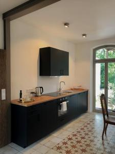 a kitchen with black cabinets and a counter top at Ferienwohnungen Strauß am Botanischen Garten in Eschwege in Eschwege