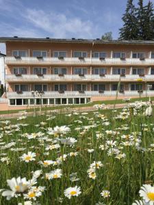 Zahrada ubytování Hotel Marolt Dependance