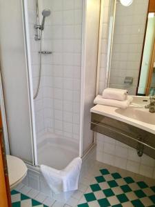 a bathroom with a shower and a sink and a toilet at Hotel Marolt Dependance in Sankt Kanzian