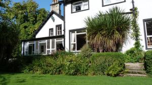 a white house with a palm tree in the yard at The Lagg in Lagg