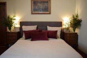 1 dormitorio con 1 cama grande con almohadas rojas en Al Carmine Apartments Towers view with AC, en Lucca