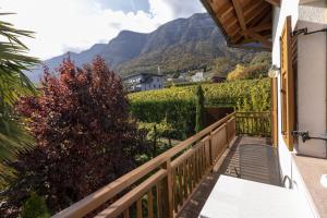 a balcony with a view of a vineyard and mountains at Stompferhof Familienapartment in Caldaro