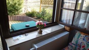una ventana con un jarrón de flores en el alféizar de la ventana en Ferienwohnung Oberlungwitz en Oberlungwitz