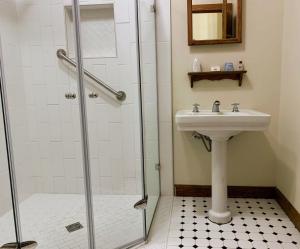 La salle de bains est pourvue d'un lavabo et d'une douche. dans l'établissement Gordon Beach Inn, à Union Pier
