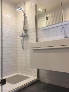 La salle de bains est pourvue d'une douche et d'un lavabo. dans l'établissement Gelijkvloers zeezicht appartement Sterckx, à Blankenberge