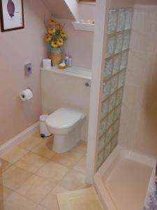 a small bathroom with a toilet and a shower at Balmillig B&B in Helensburgh