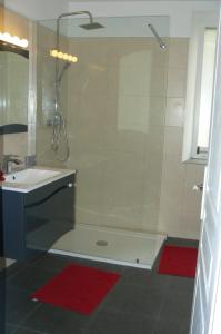 een badkamer met een douche en een wastafel bij Le Numéro 4 ! in Labruguière